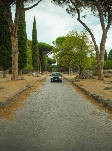 Rome Mobility Study